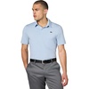 Blue/Silver