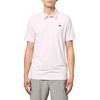 Flamingo/White Striped