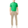 Lion Green
