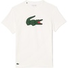 White/Green/White
