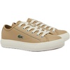 Light Brown/Off White