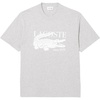Silver Chine