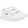 White/White