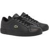 White/Black/Red Currant