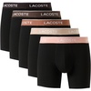 Black/Miami/Lionne/Pecan