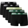 Black/Green/Birch