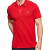 Bigarreau Cherry