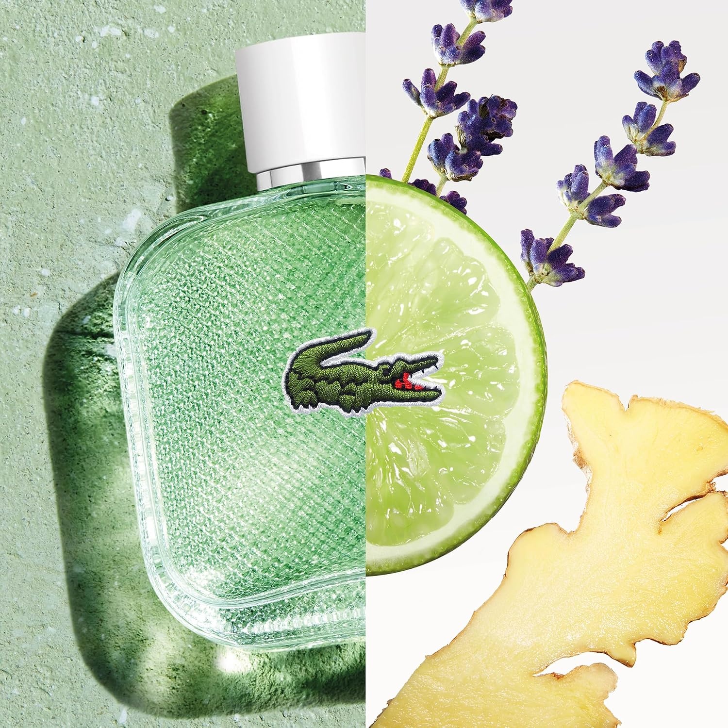image:imageLacoste L1212 BlancEau Fraiche Eau de Toilette