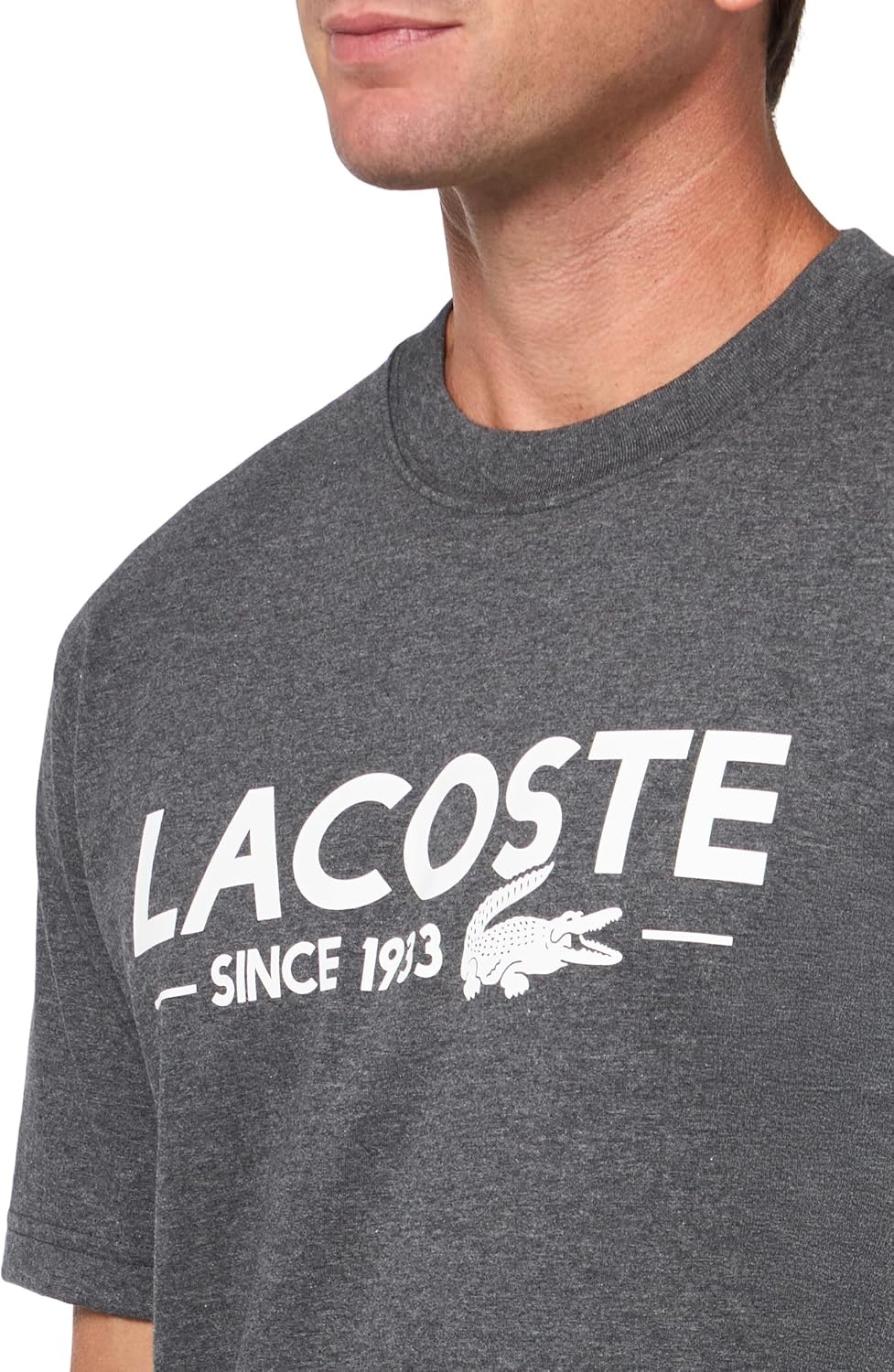 image:imageLacoste Mens Cotton Logo TeeDark Grey Lacoste Birthdate