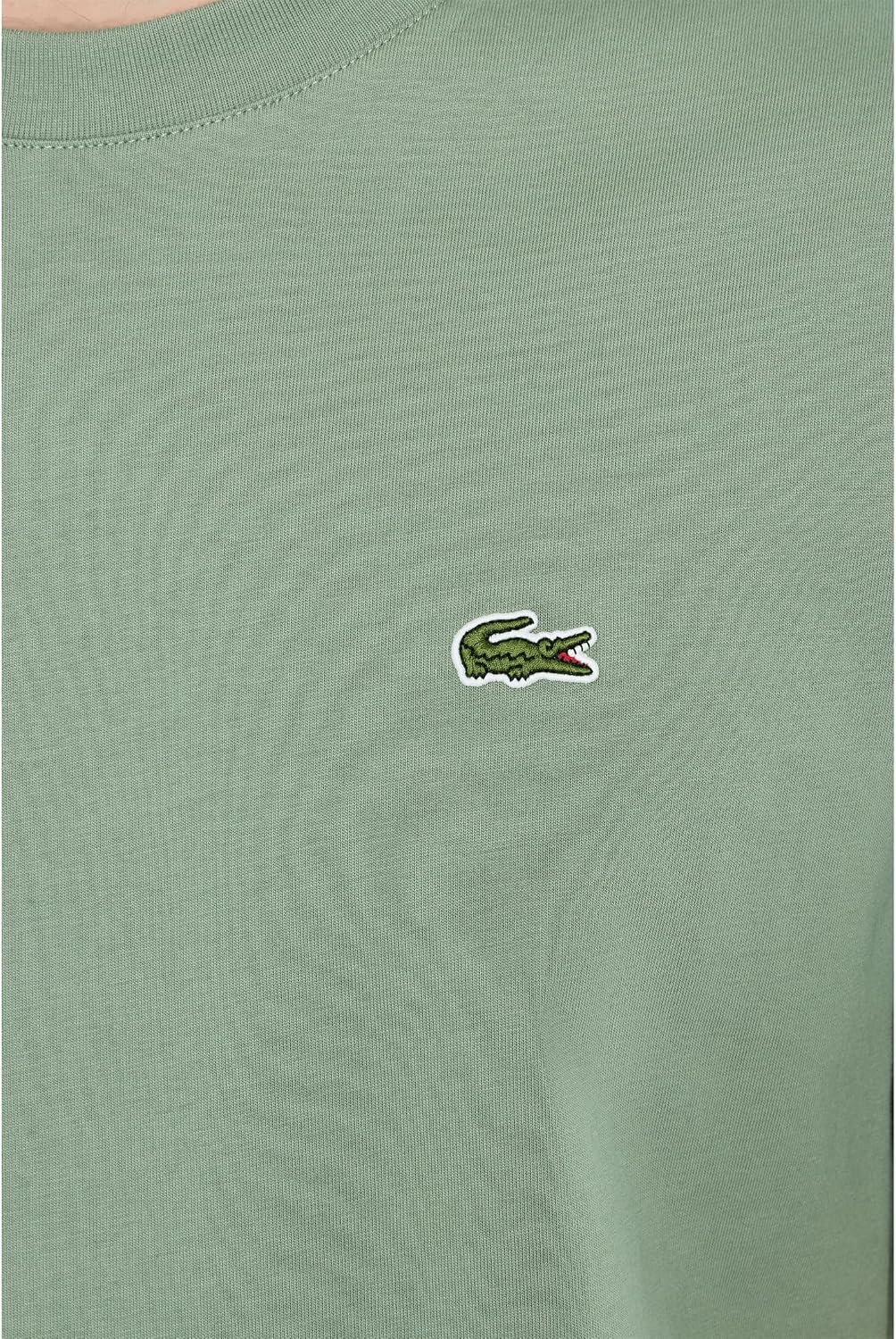 image:imageLacoste Mens Cotton Logo TeeThyme