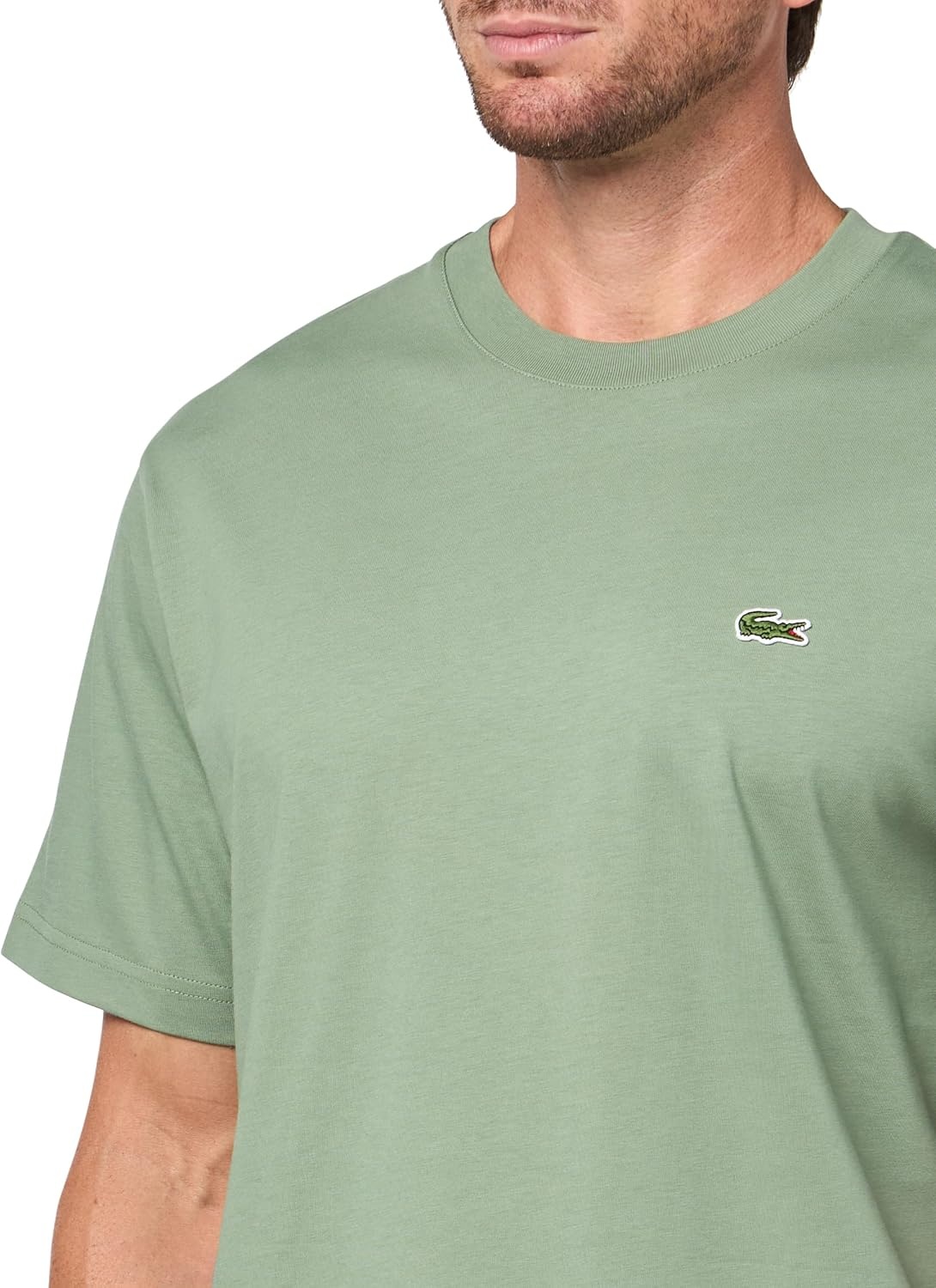 image:imageLacoste Mens Cotton Logo TeeThyme
