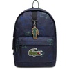 Navy Blue Croc