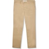 Lion Brown