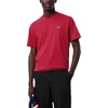 Bigarreau Cherry